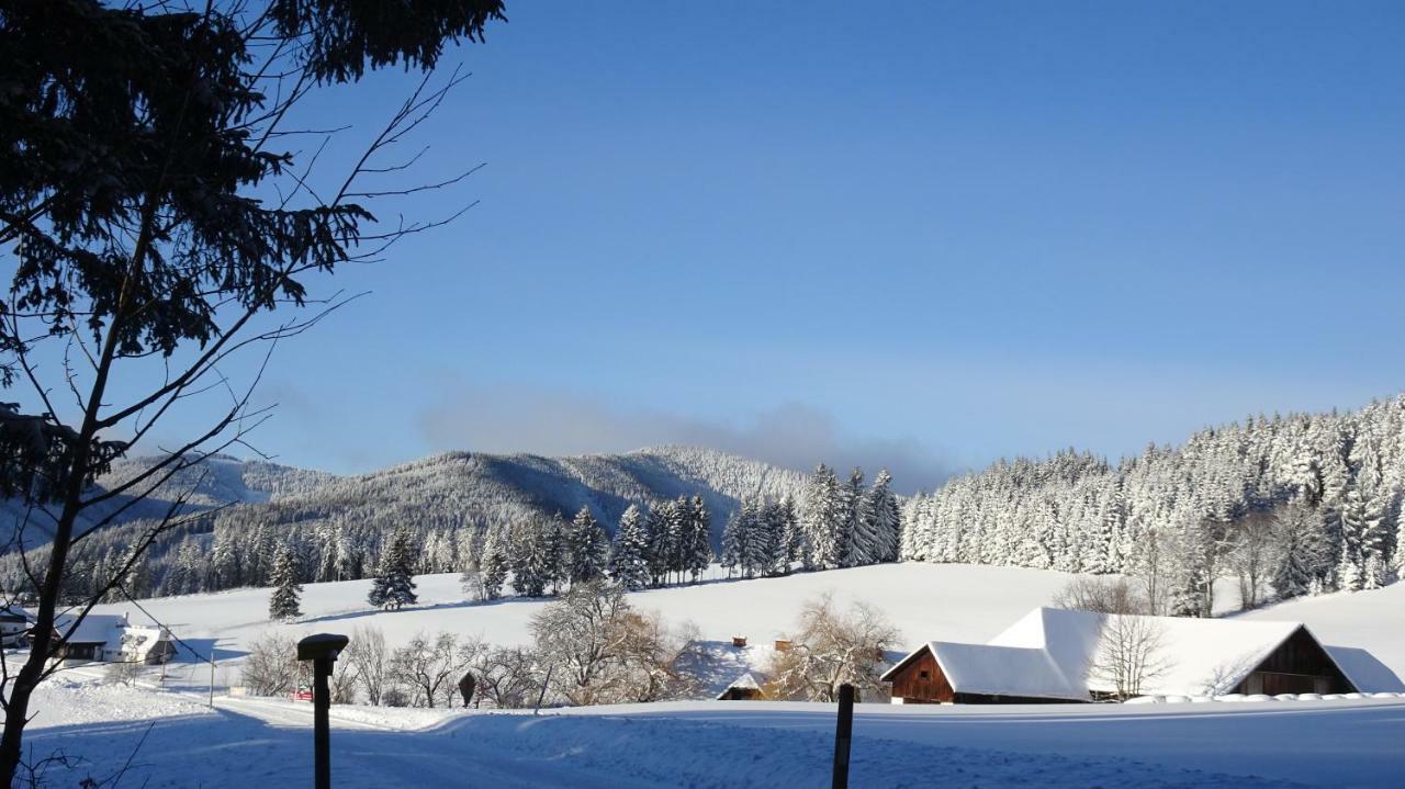 Bauernhof Hoenigshof Фишбах Екстериор снимка