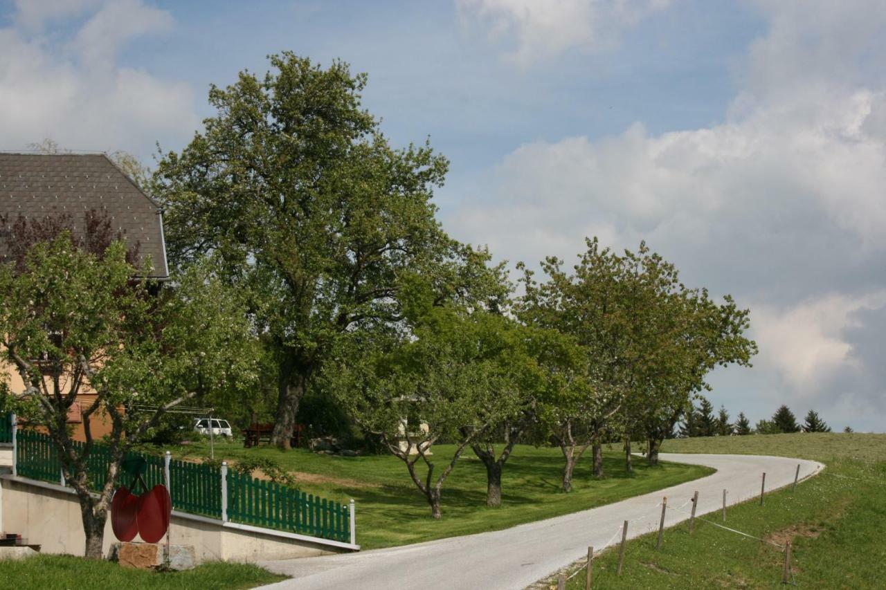 Bauernhof Hoenigshof Фишбах Екстериор снимка